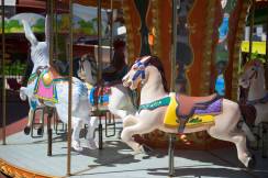 DELPHIN IMPERIAL Activities